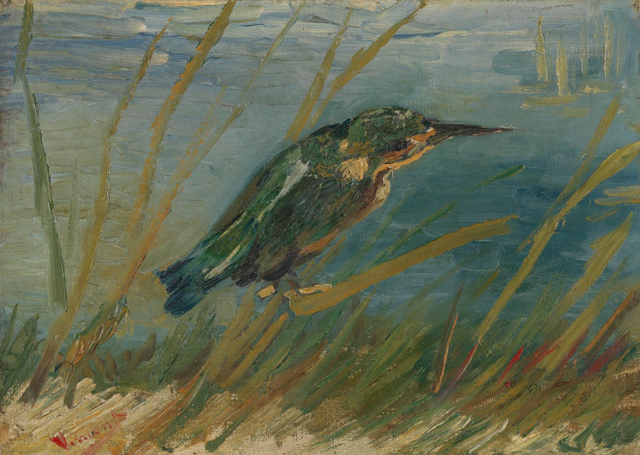 IJsvogel aan de waterkant door Vincent van Gogh