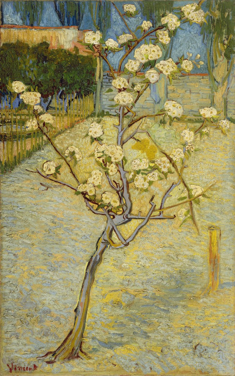 Bloeiend Perenboompje door Vincent van Gogh