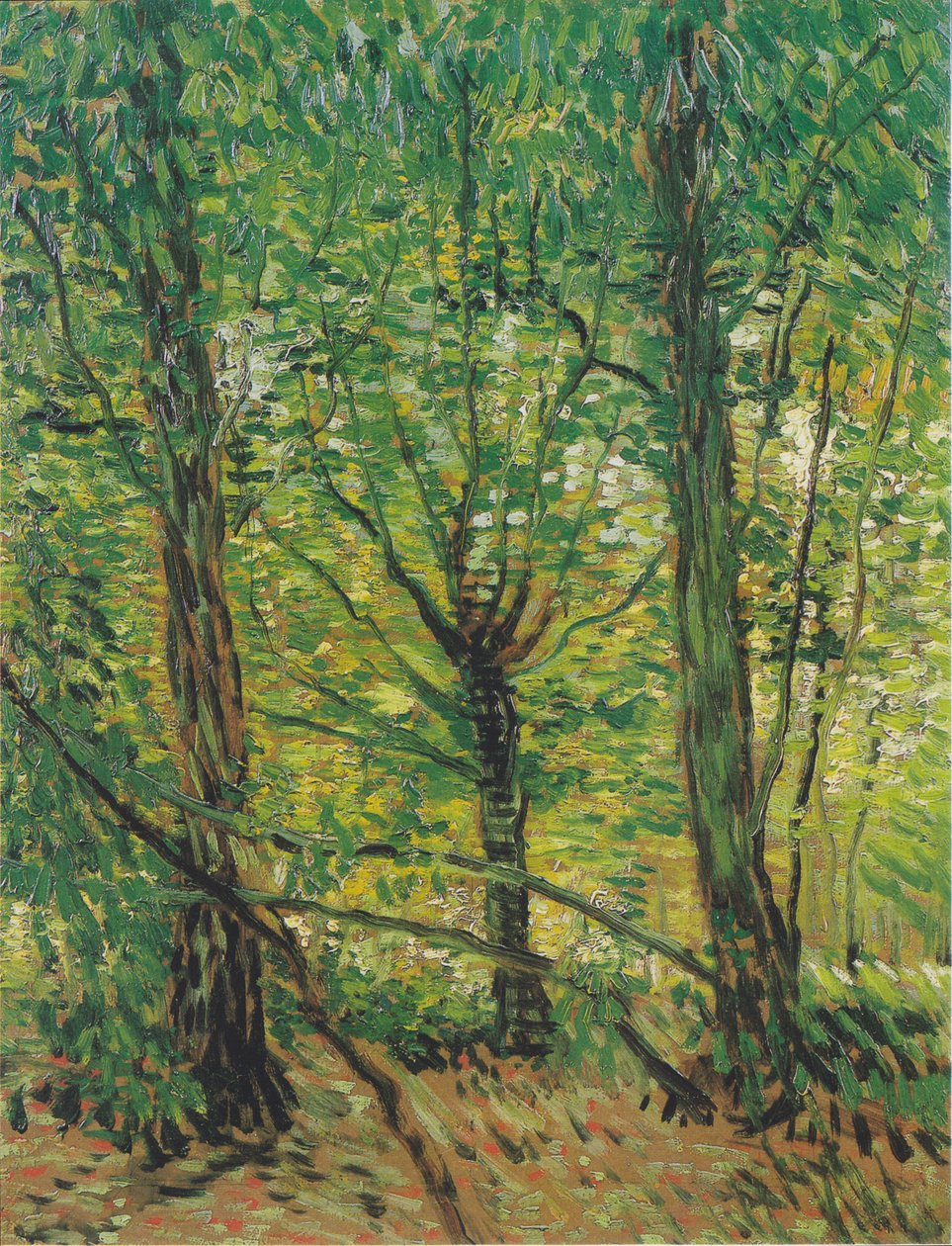 Bomen en onderhout door Vincent van Gogh