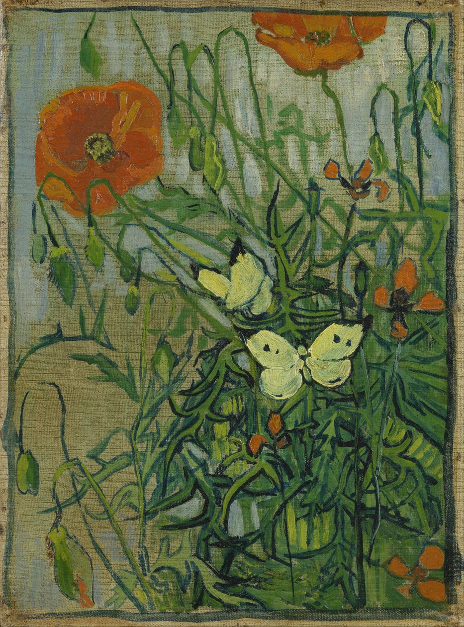 Vlinders en klaprozen door Vincent van Gogh