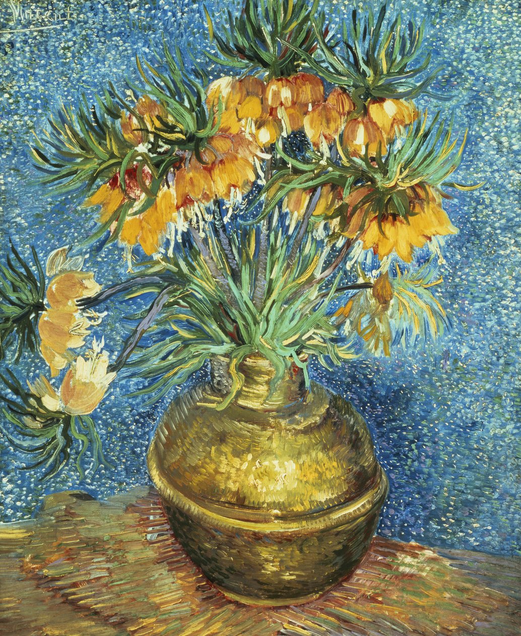 Keizerskroon Fritillaria