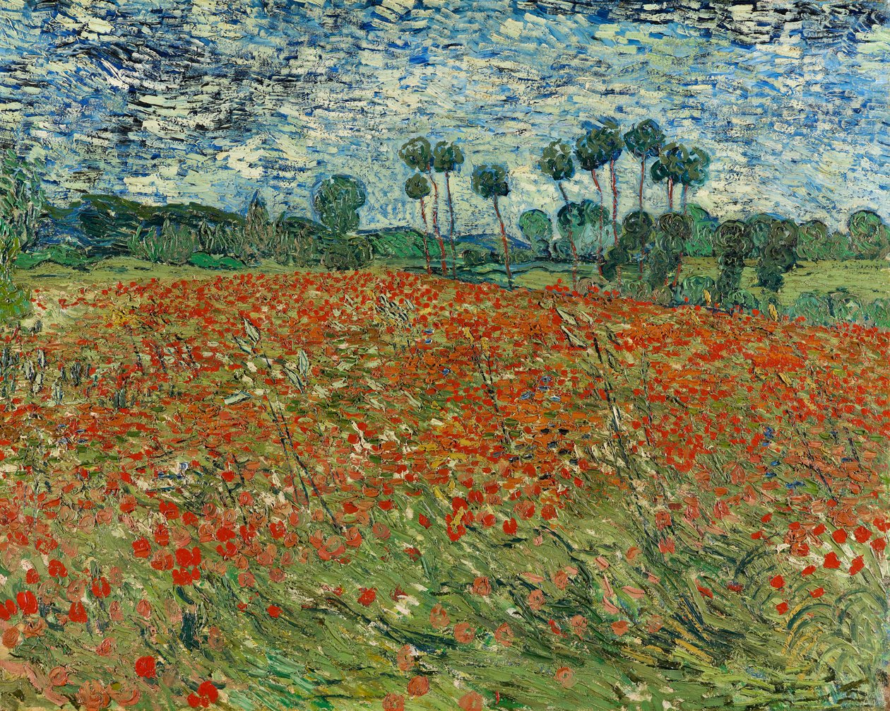 Klaprozenveld, Auvers-sur-Oise, 1890 door Vincent van Gogh