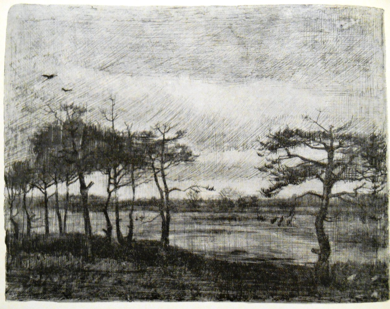 Sparren bij een moeras door Vincent van Gogh