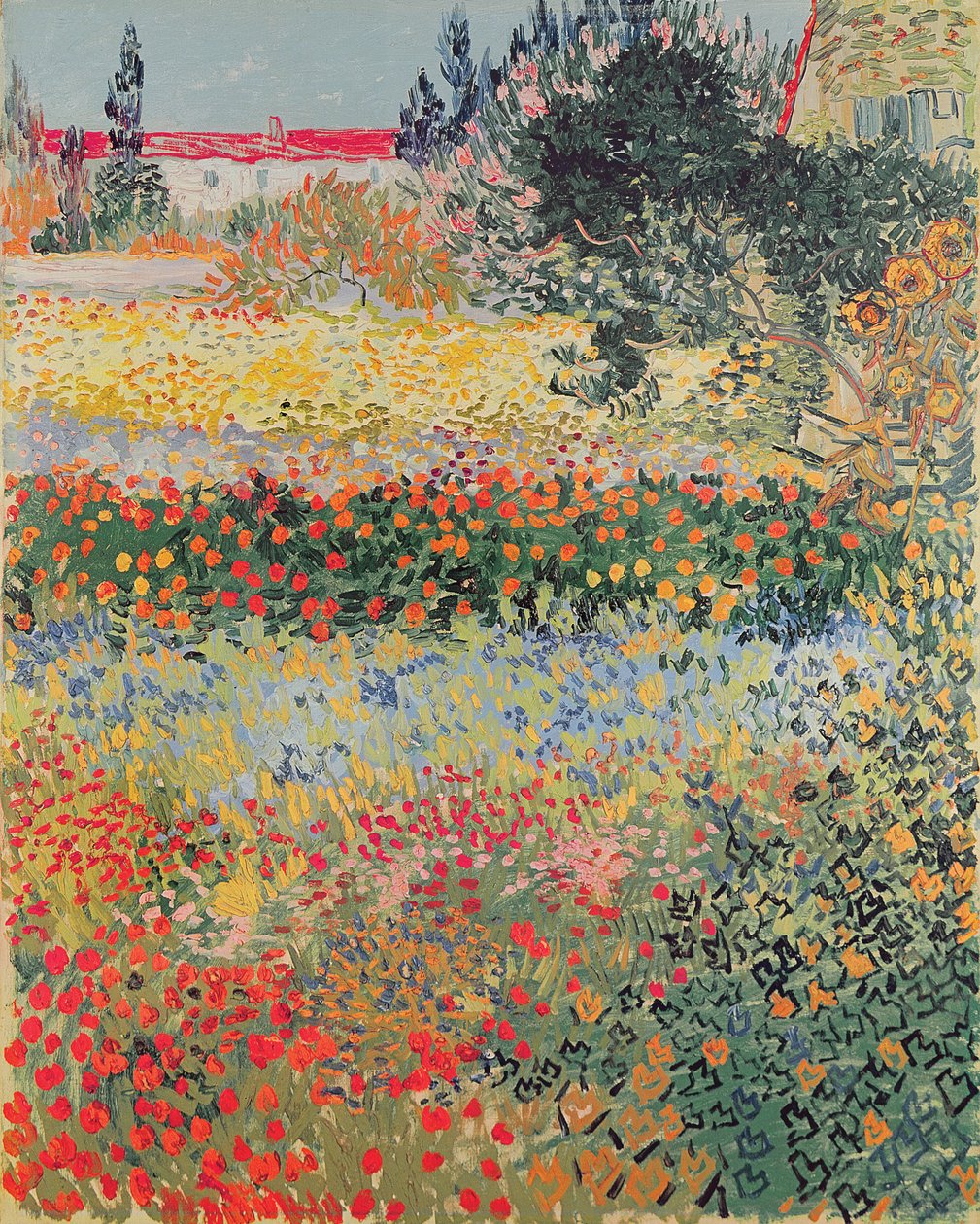Tuin in bloei, Arles, juli 1888 door Vincent van Gogh