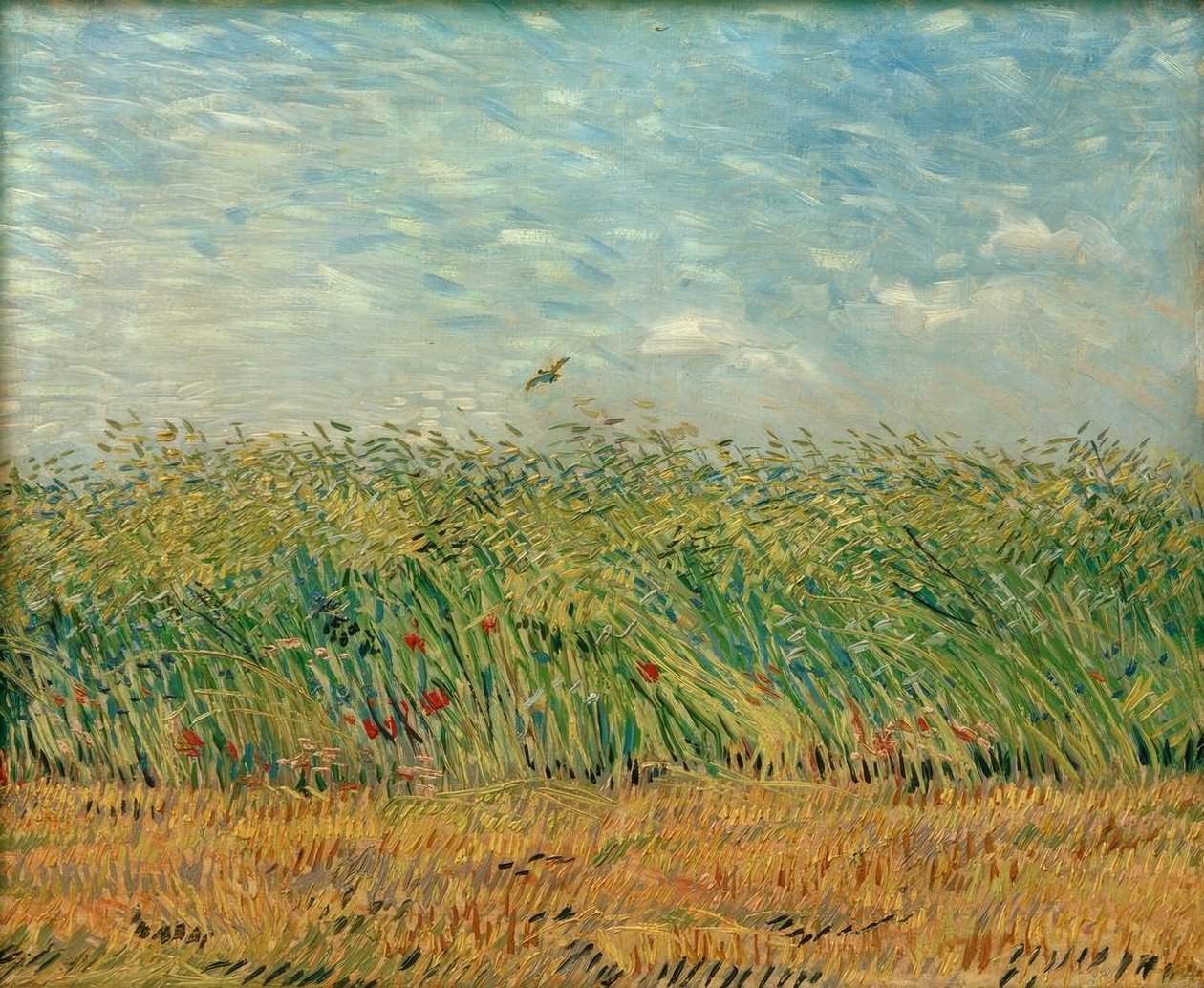Graanveld met klaprozen en patrijs door Vincent van Gogh