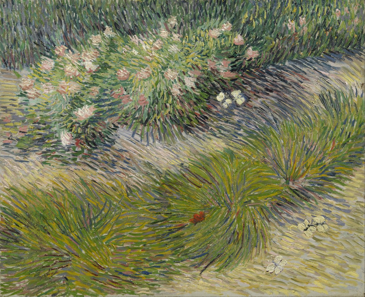 Gras en vlinders door Vincent van Gogh