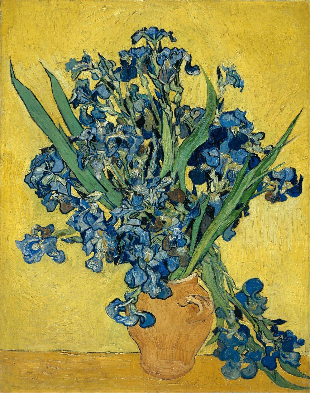 Iris door Vincent van Gogh