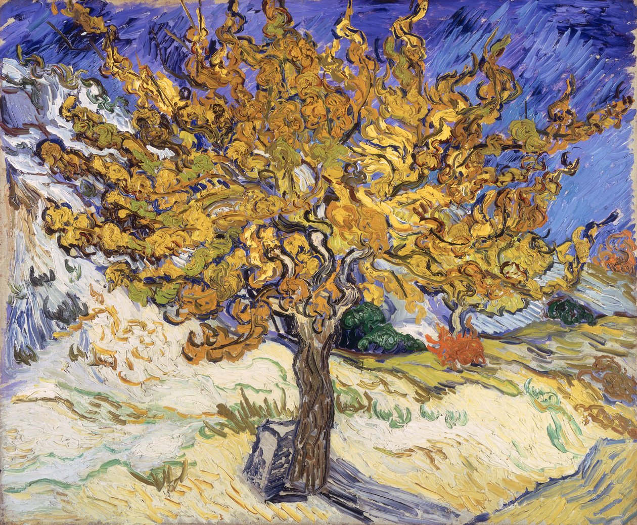 Moerbeiboom, 1889 door Vincent van Gogh