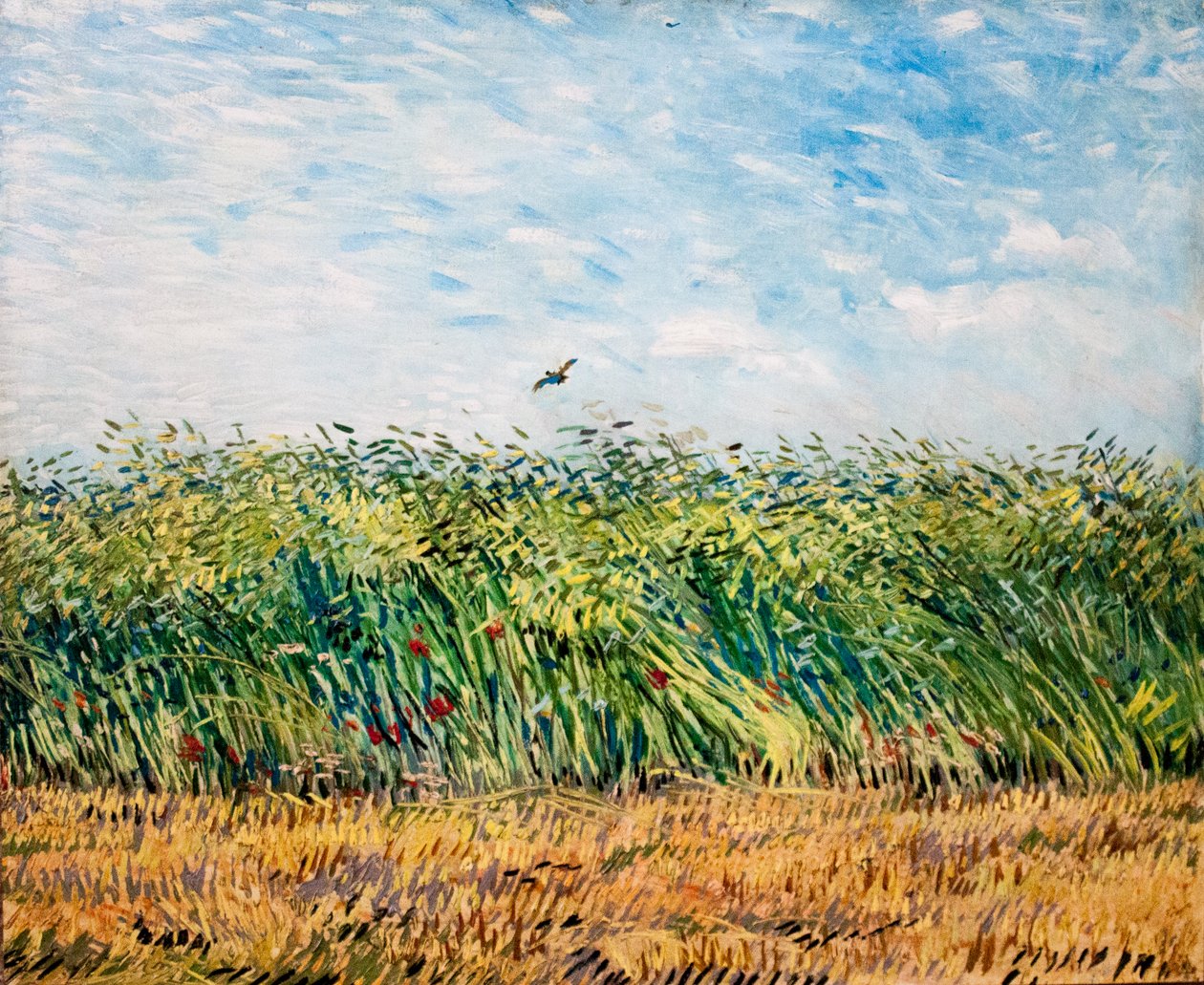 Mijn droom door Vincent van Gogh
