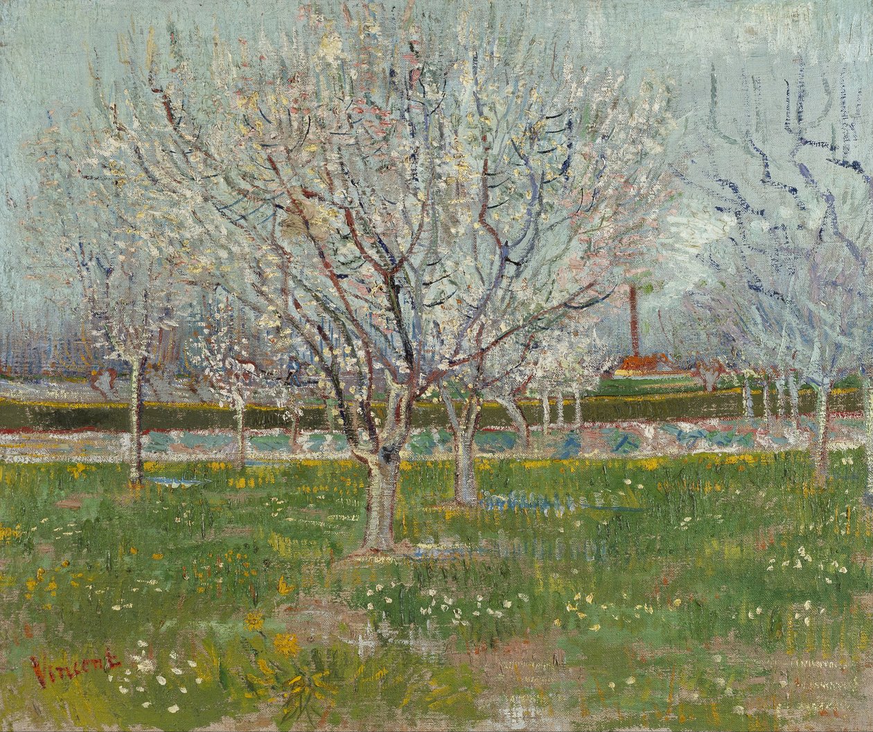 Boomgaard in bloei (pruimenbomen) door Vincent van Gogh