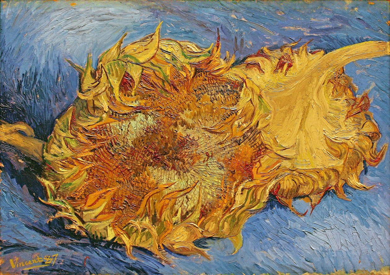 Twee Gesneden Zonnebloemen door Vincent van Gogh