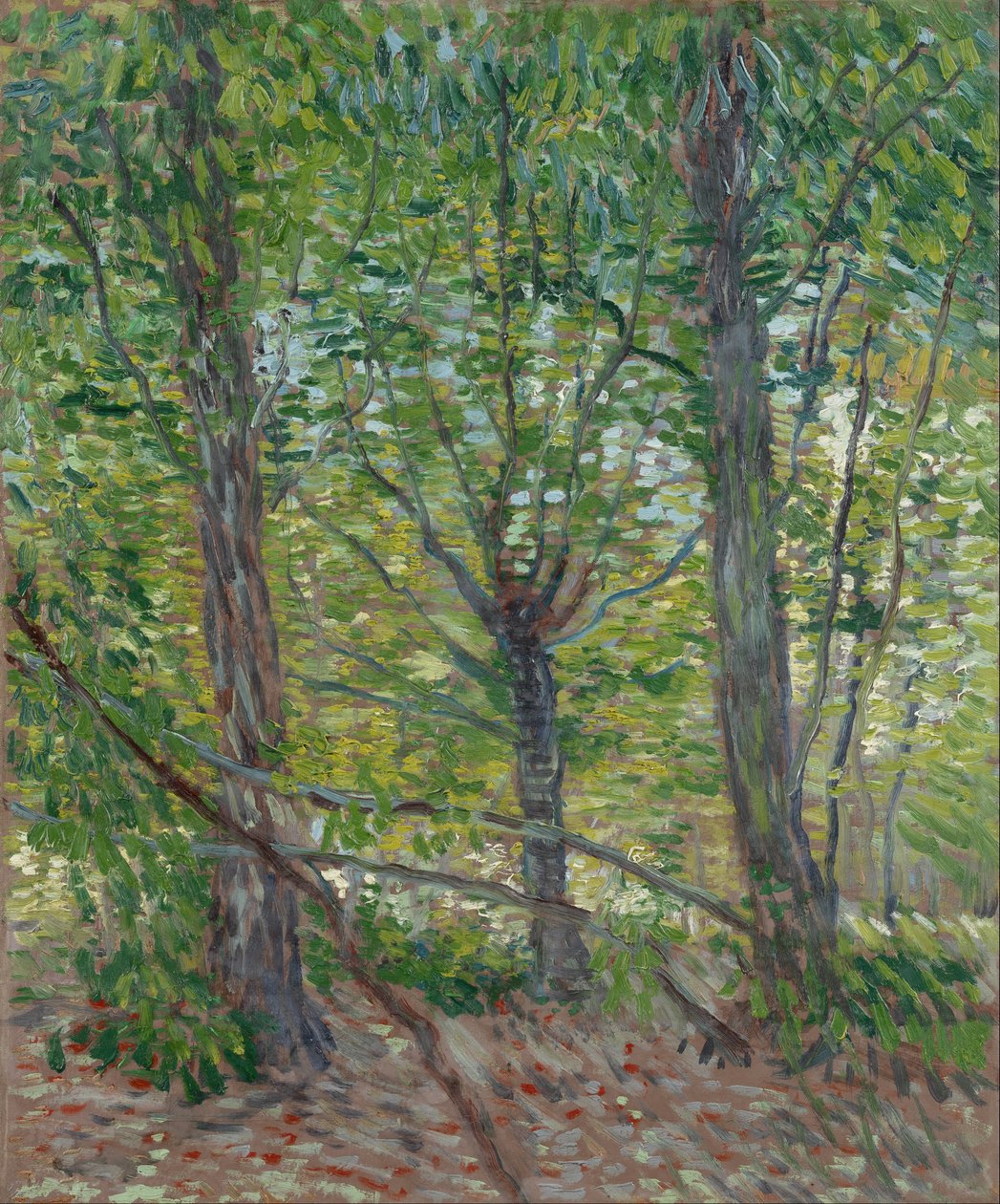 Bomen door Vincent van Gogh