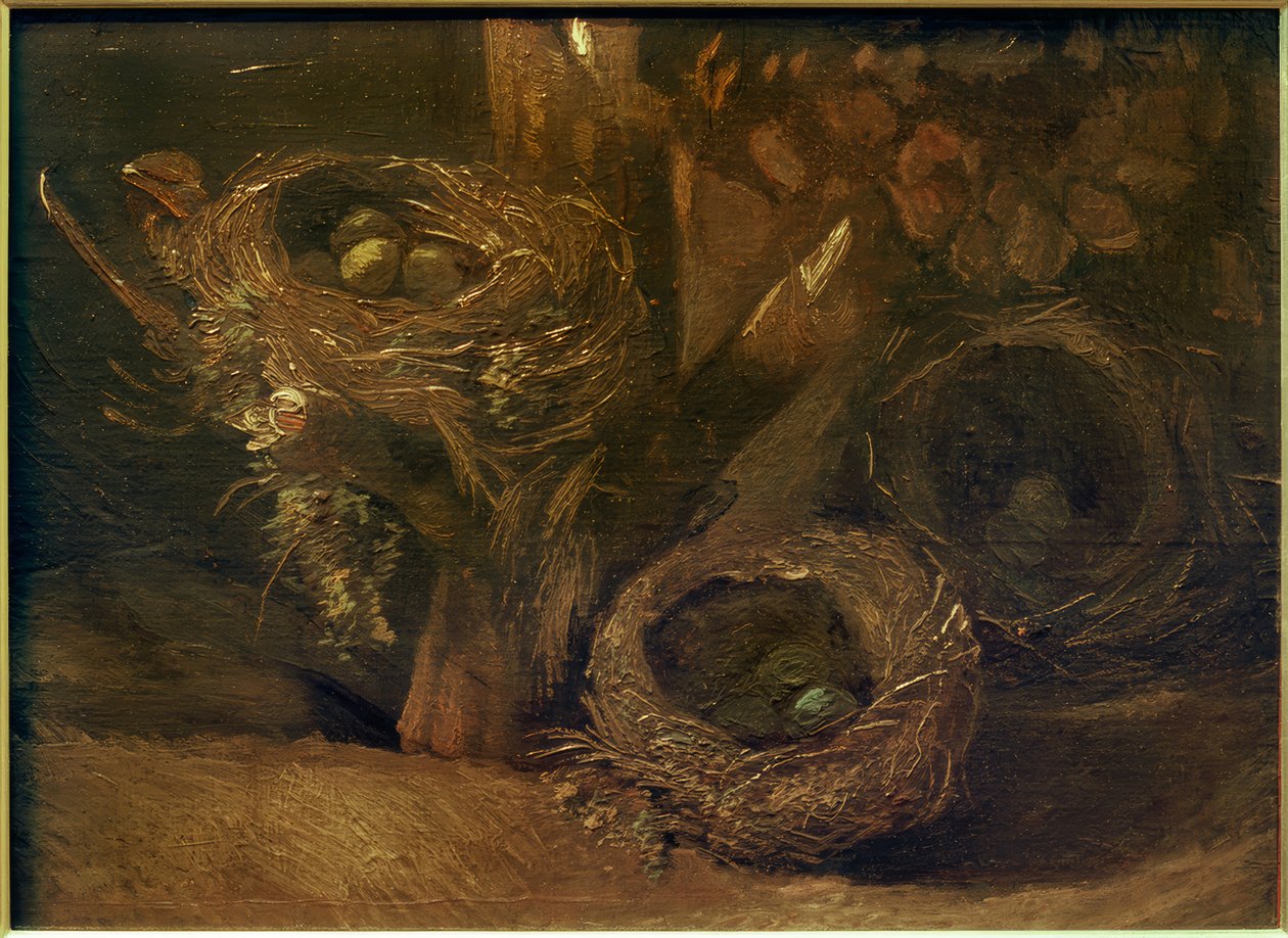 Vogelnesten door Vincent van Gogh