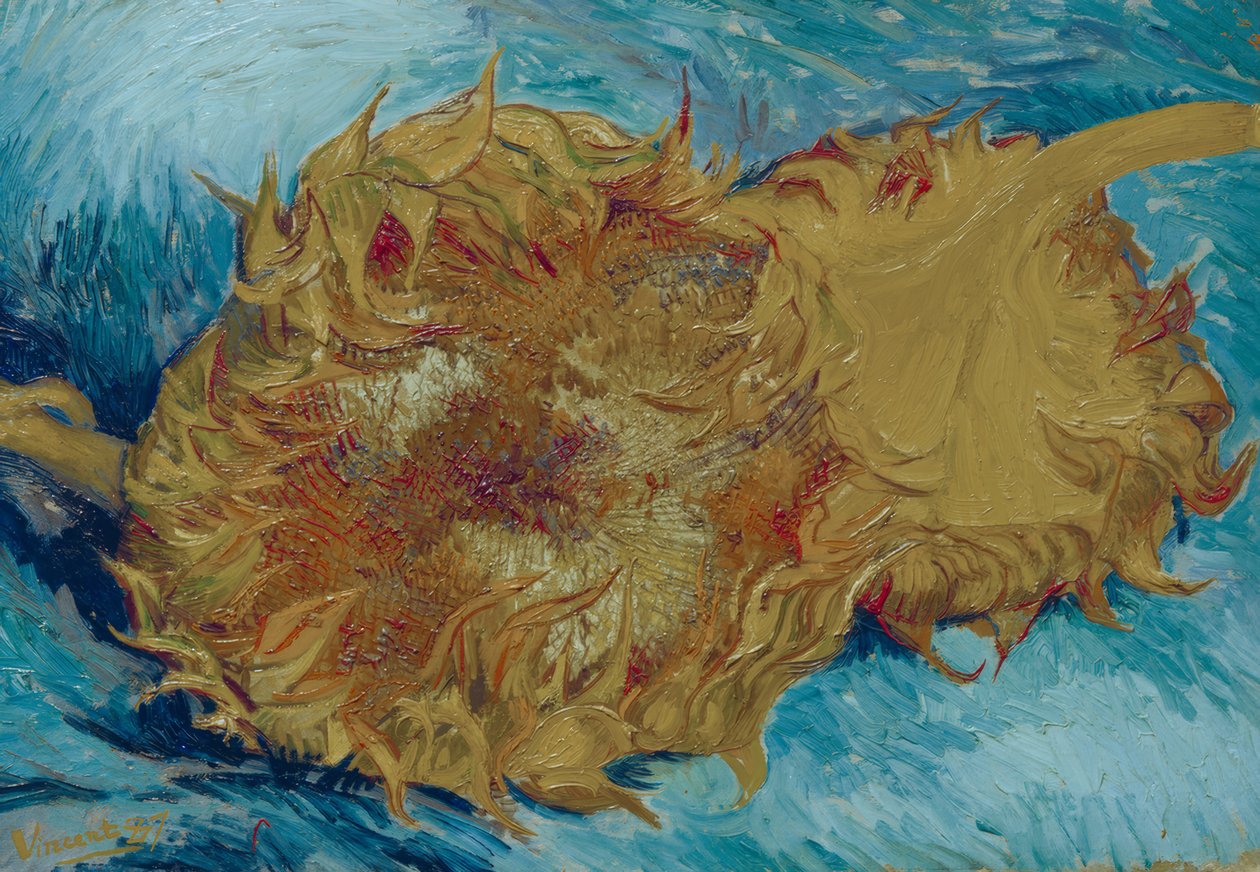 Twee afgesneden zonnebloemen door Vincent van Gogh