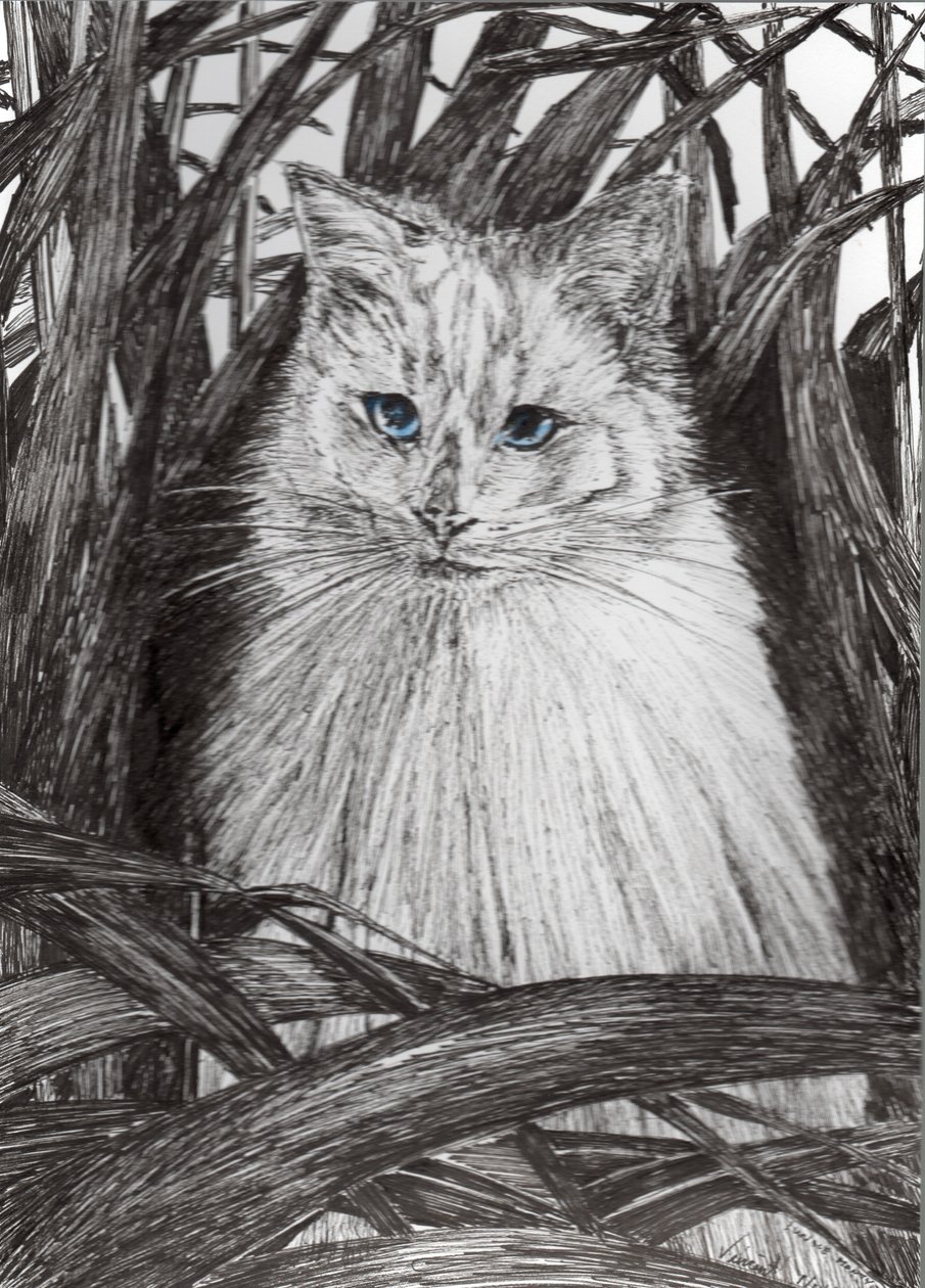 Jungle Monty, 2015 door Vincent Alexander Booth