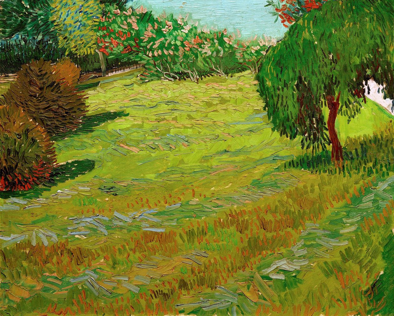 Tuin met treurwilg, 1888 door Vincent van Gogh