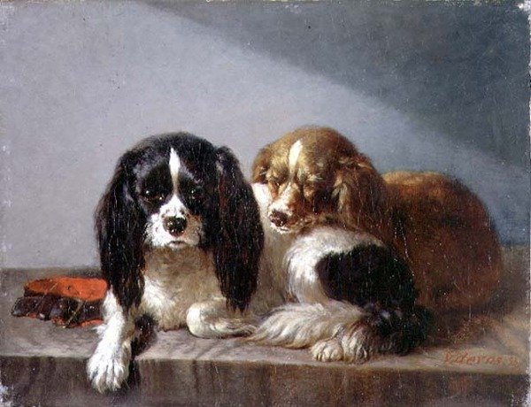 King Charles Spaniels door Vincent de Vos