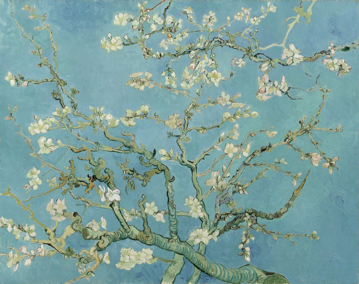 Amandelbloesem door Vincent van Gogh