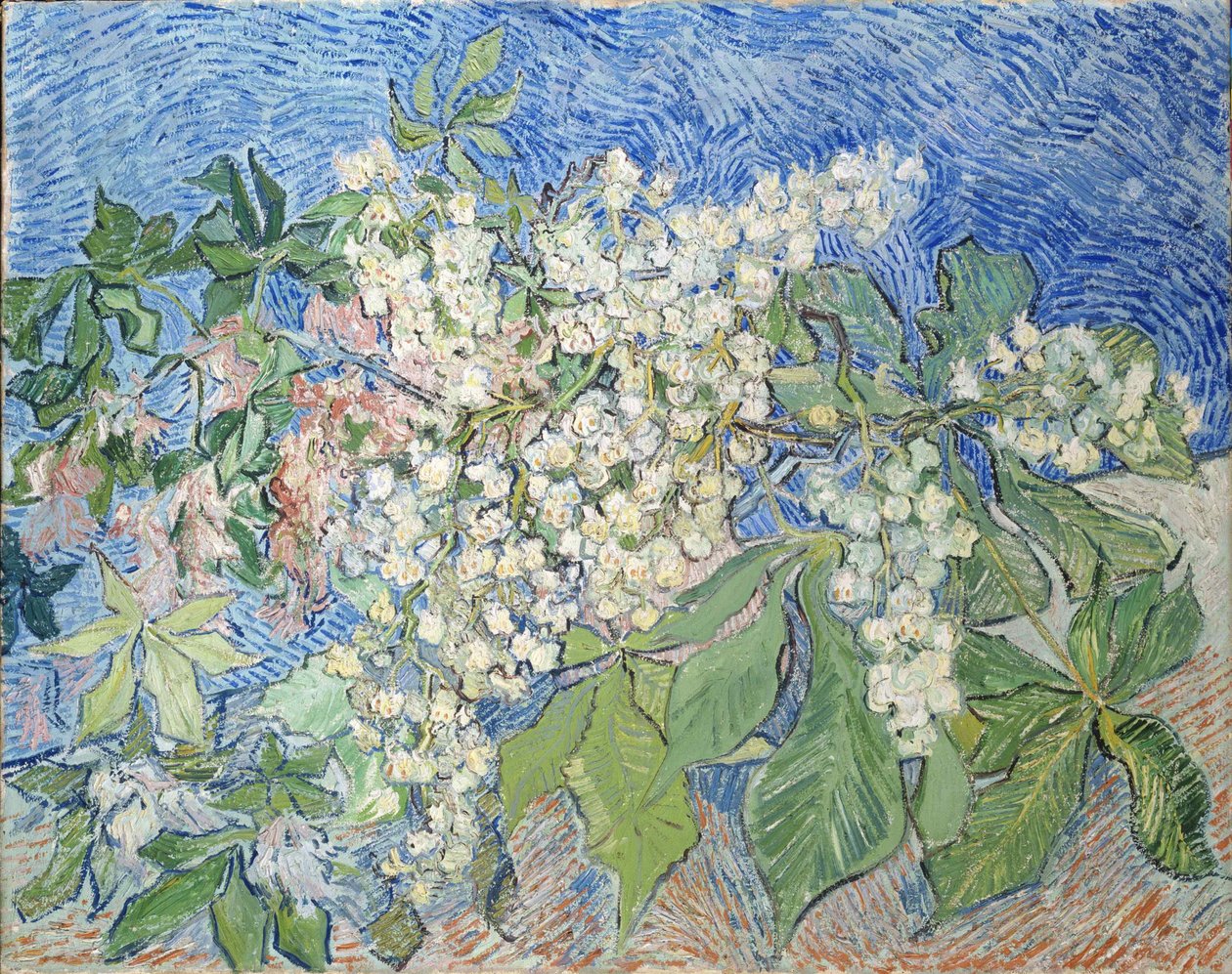 Takken van bloeiende kastanjebomen, 1890 door Vincent van Gogh