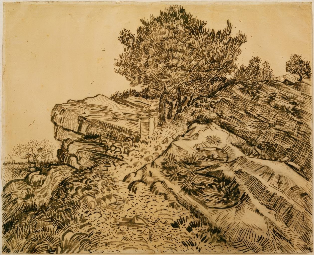 De rots van Montmajour met pijnbomen door Vincent van Gogh