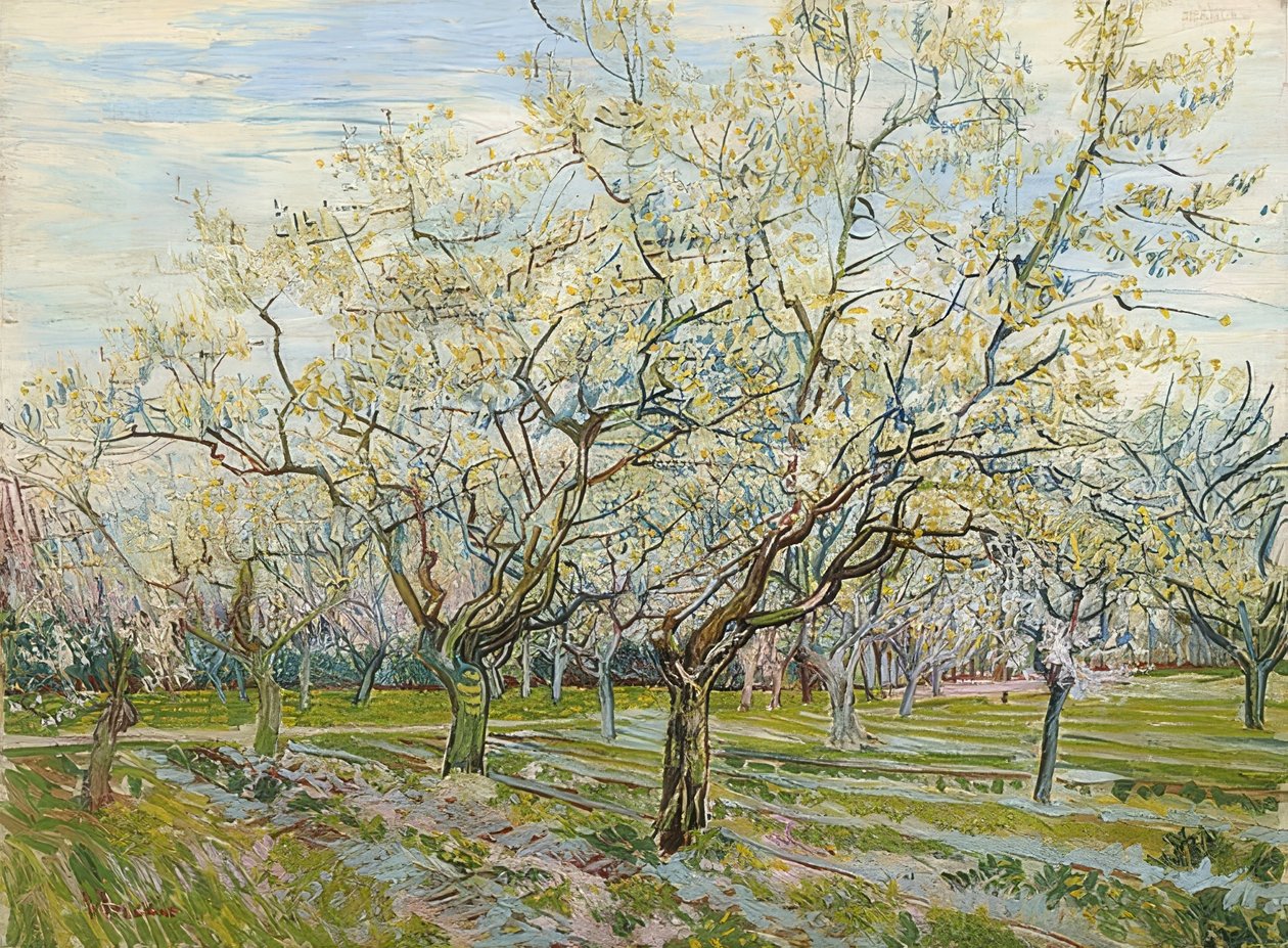 De witte boomgaard. 1888 door Vincent van Gogh