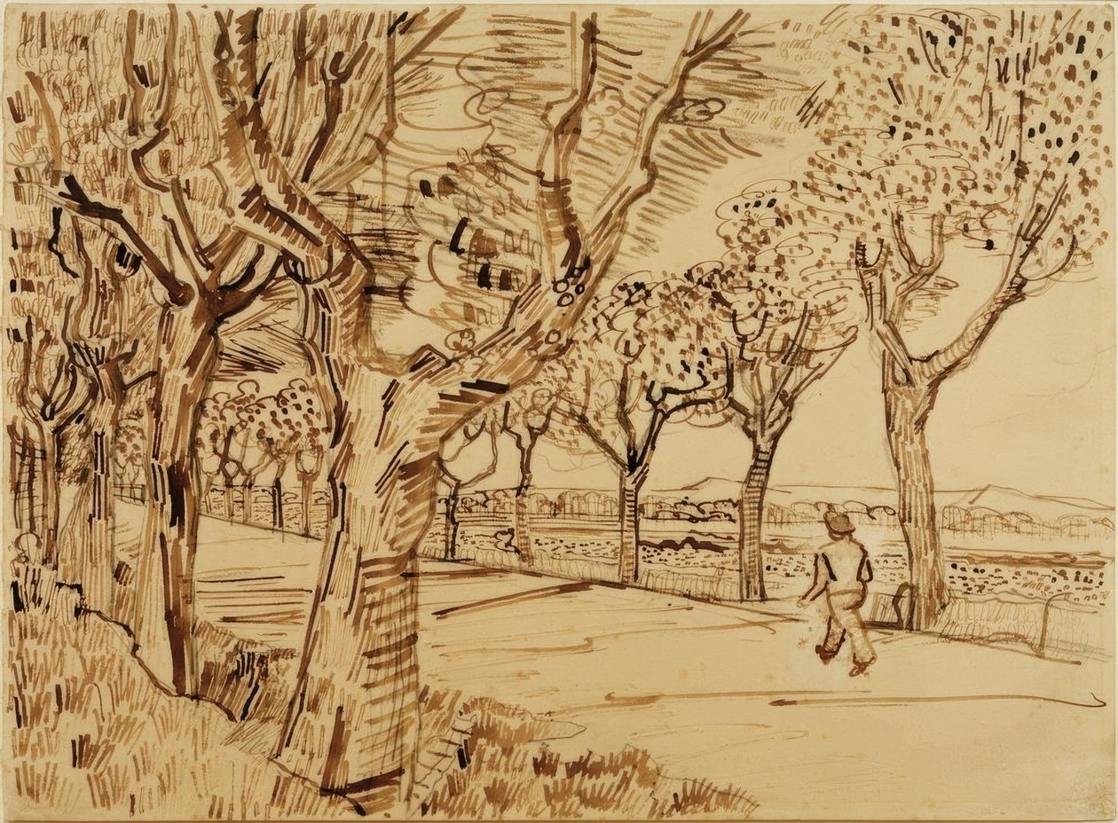 De weg naar Tarascon door Vincent van Gogh