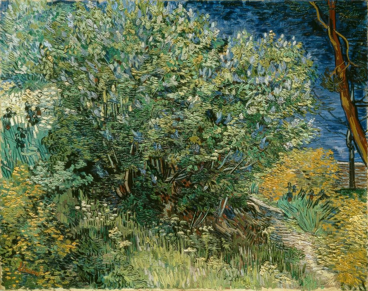 Seringstruik door Vincent van Gogh