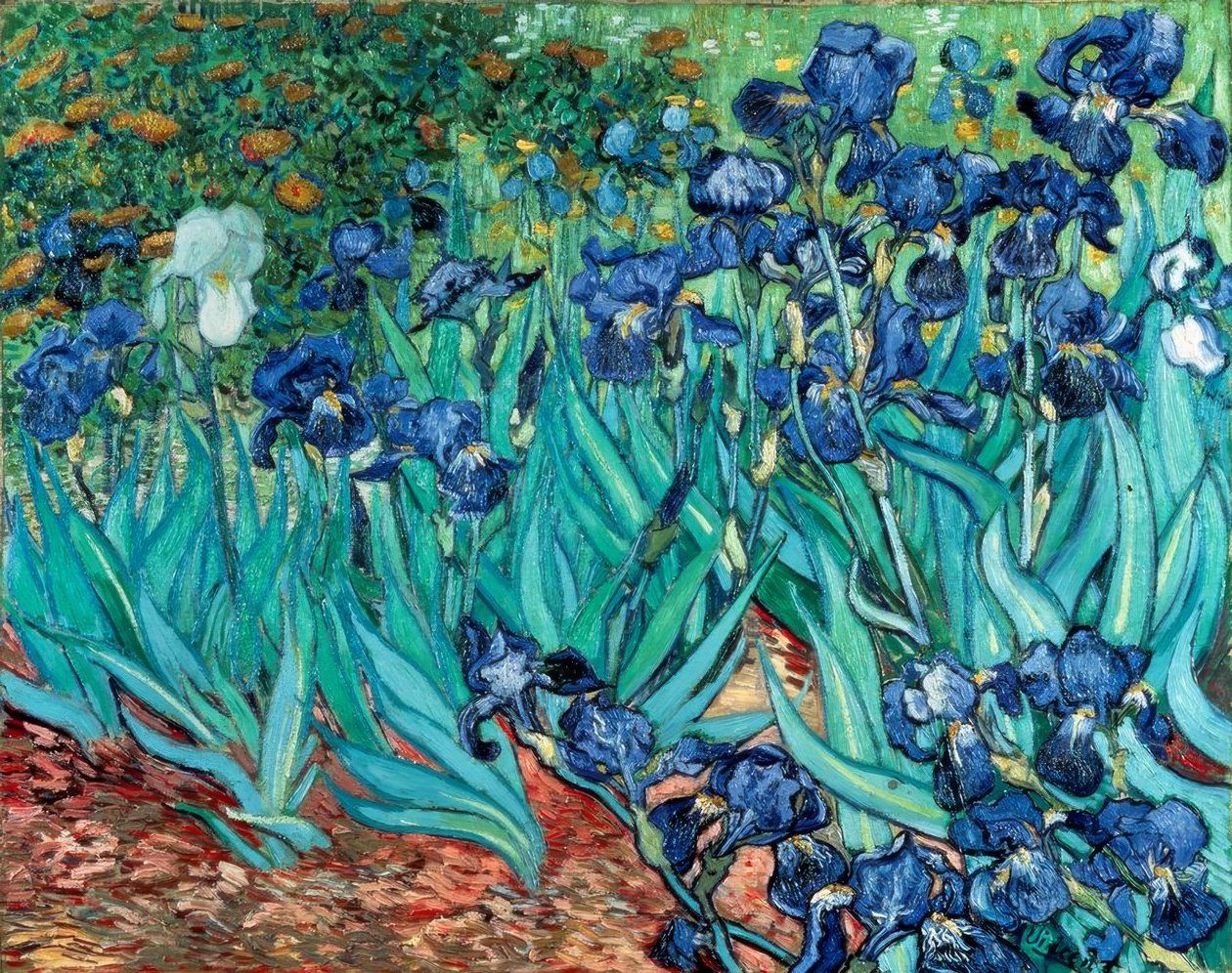 Iris (zwaardlelies) door Vincent van Gogh