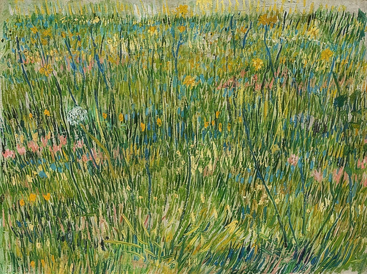 Grasstuk door Vincent van Gogh