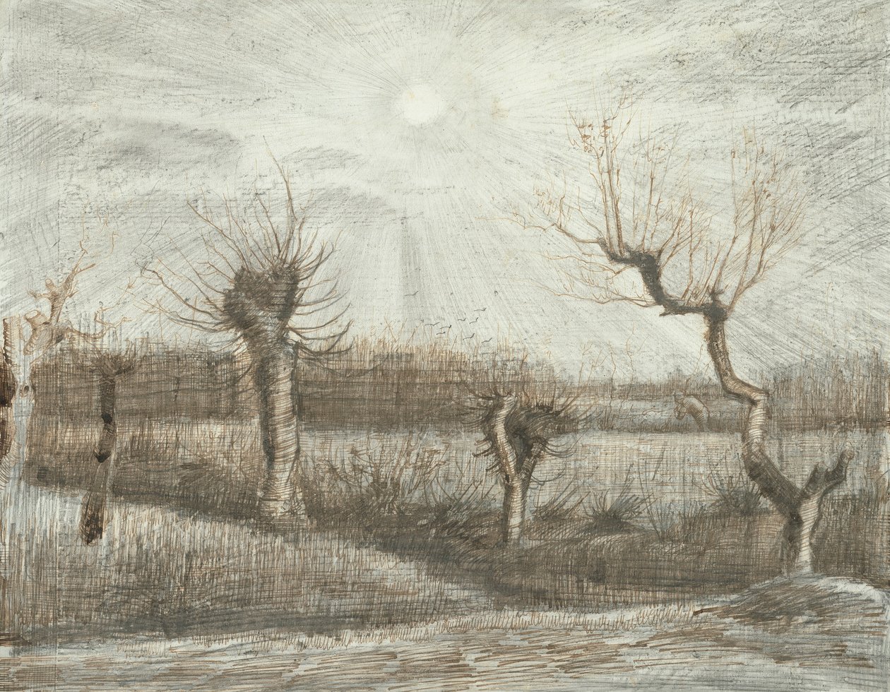 Kikkervisjes door Vincent van Gogh