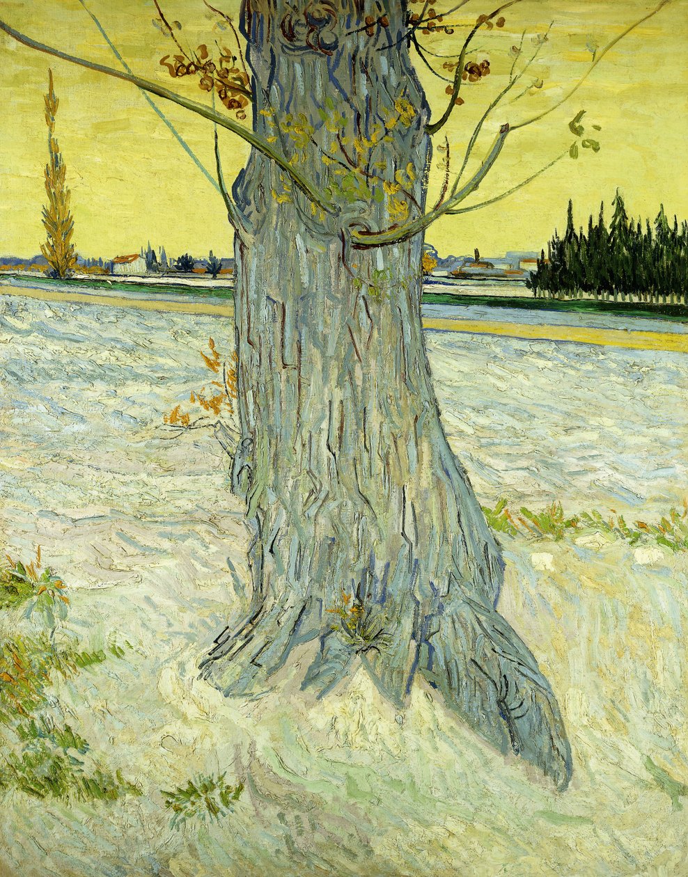 De Oude Boom door Vincent van Gogh