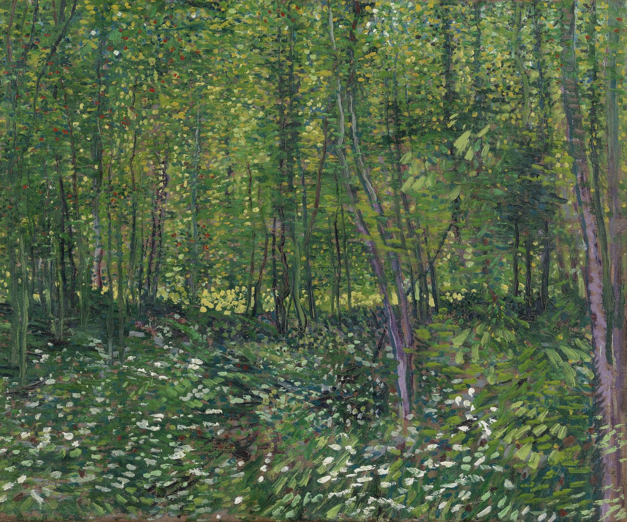 Bomen en struikgewas, 1887 door Vincent van Gogh