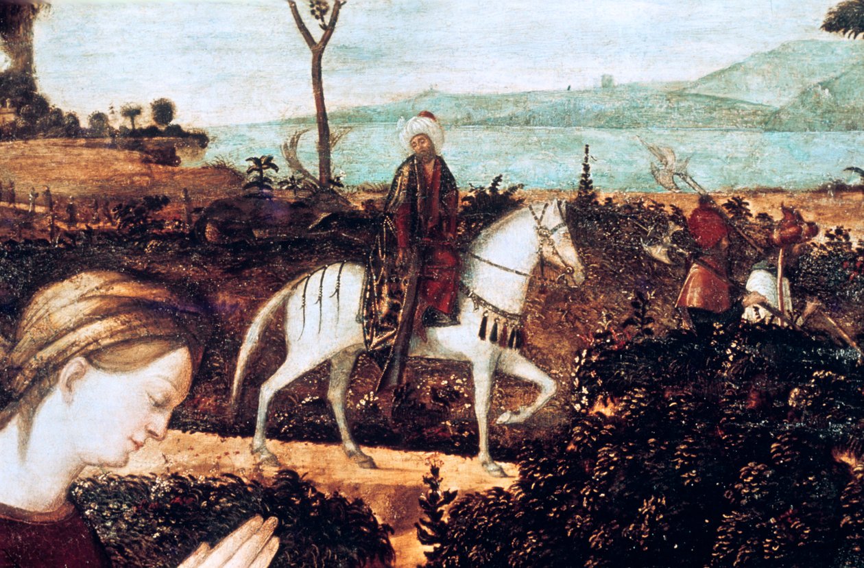 Heilige Familie (detail) door Vittore Carpaccio
