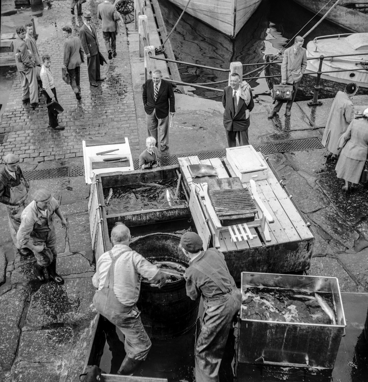 Vissers in IJsland lossen vangst op de kade door Volkmar Wentzel