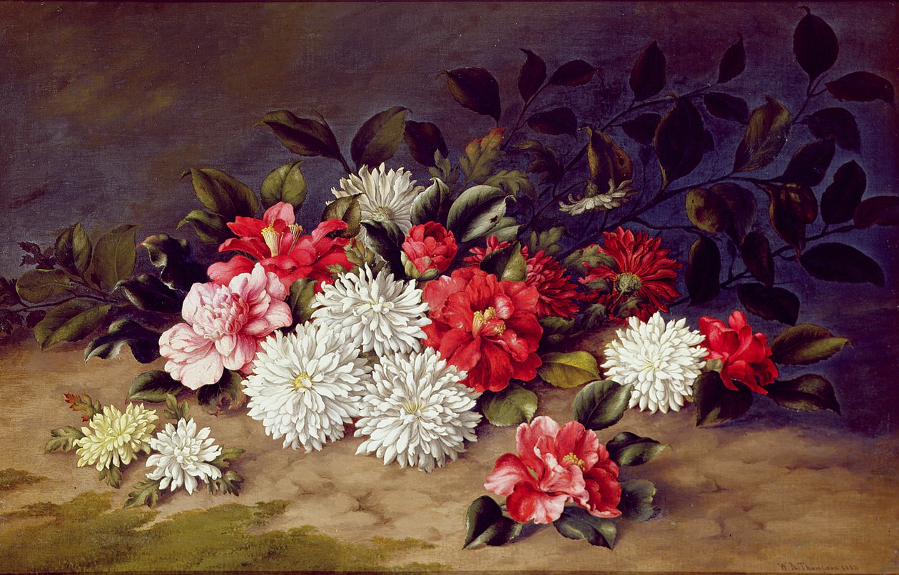 Stilleven van chrysanten en camelia