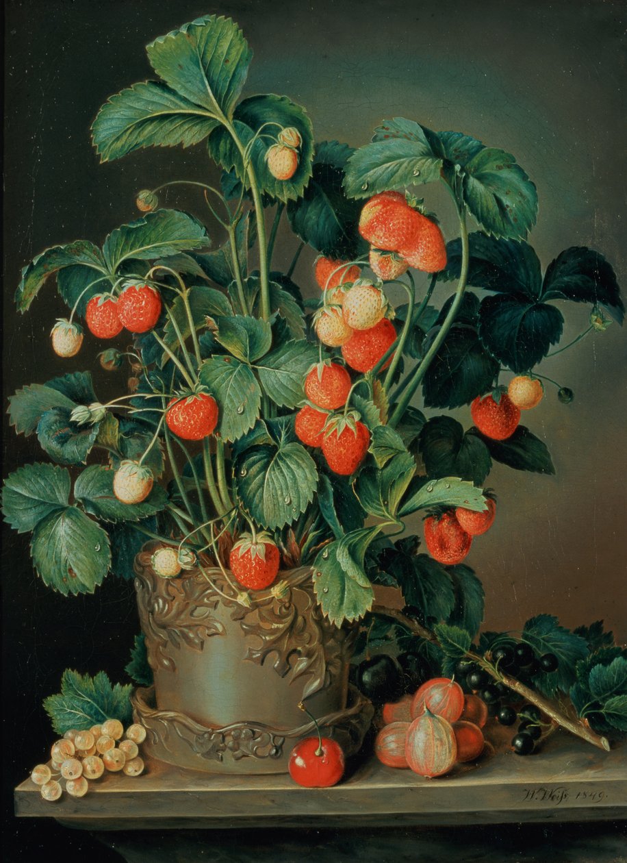 Stilleven met aardbeien door W. Weiss
