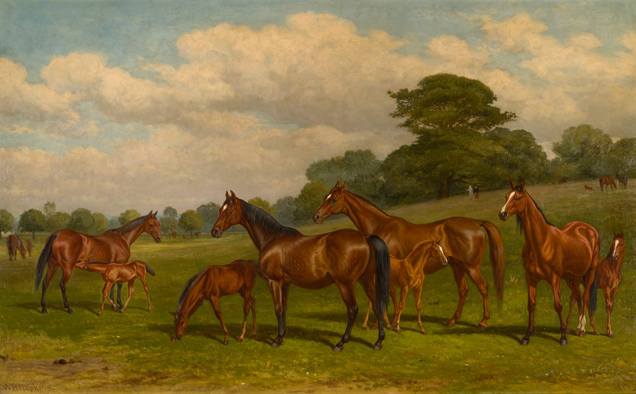 Merries en veulens door W.H. Hopkins