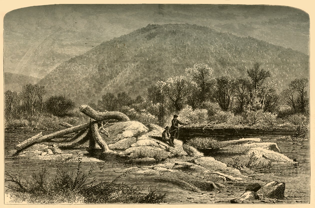 Mount Chesterfield, 1874 door W.H. Morse