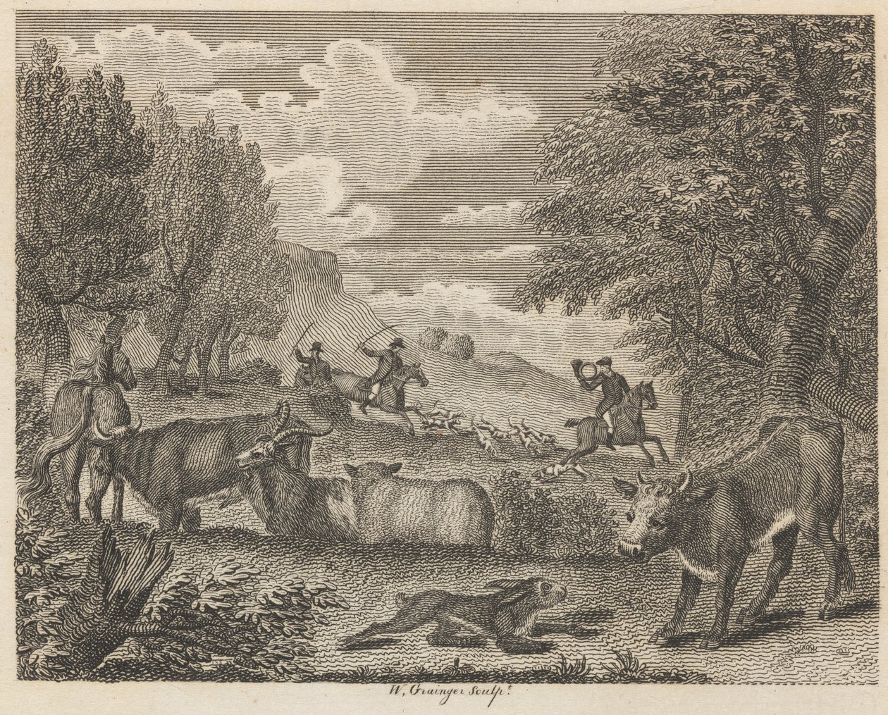 De Haas en Veel Vrienden door W. Grainger