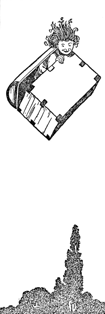 De Koffer Vloog Weg door William Heath Robinson