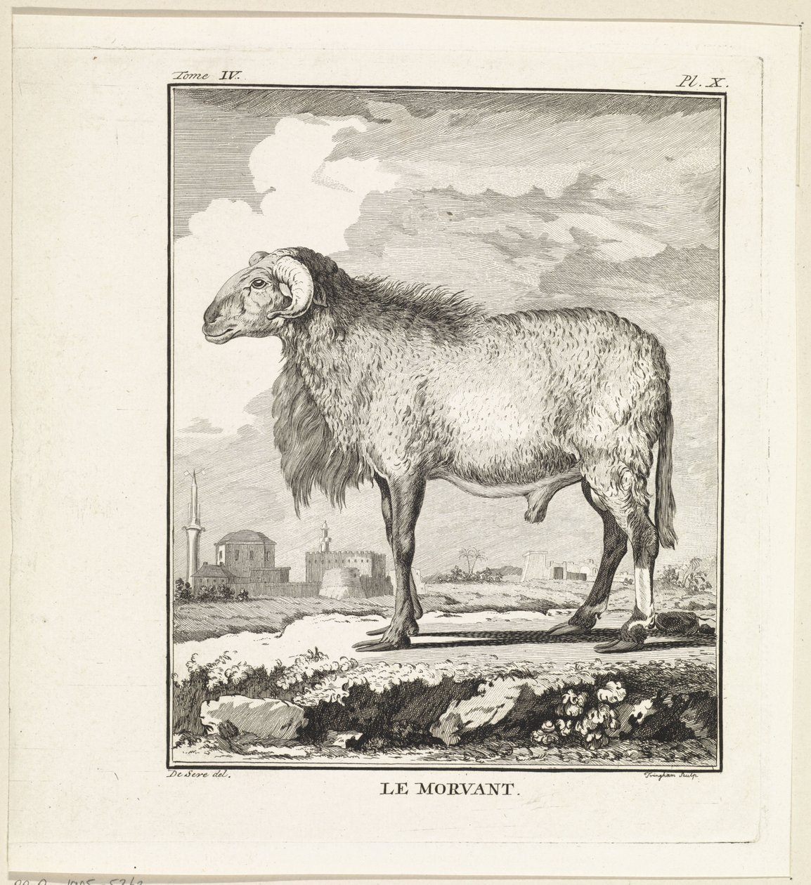 Ram door W. Tringham