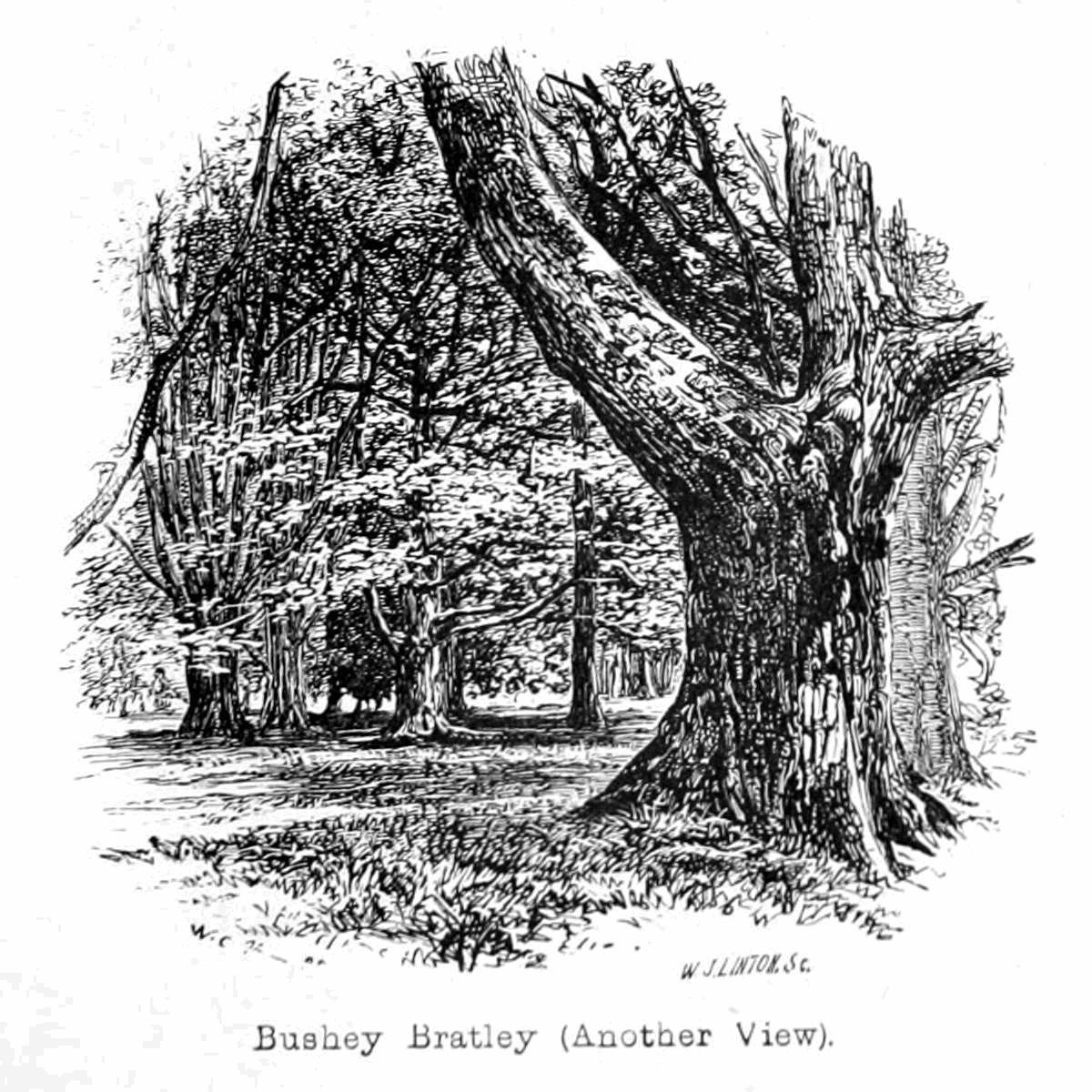 Bushey Bratley door Walter Crane