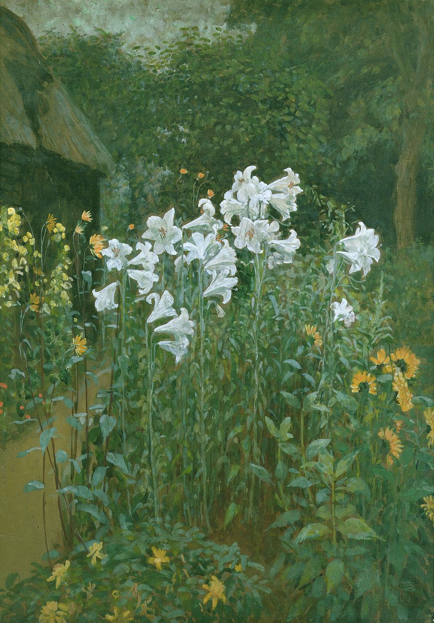Madonnalelies in een tuin door Walter Crane