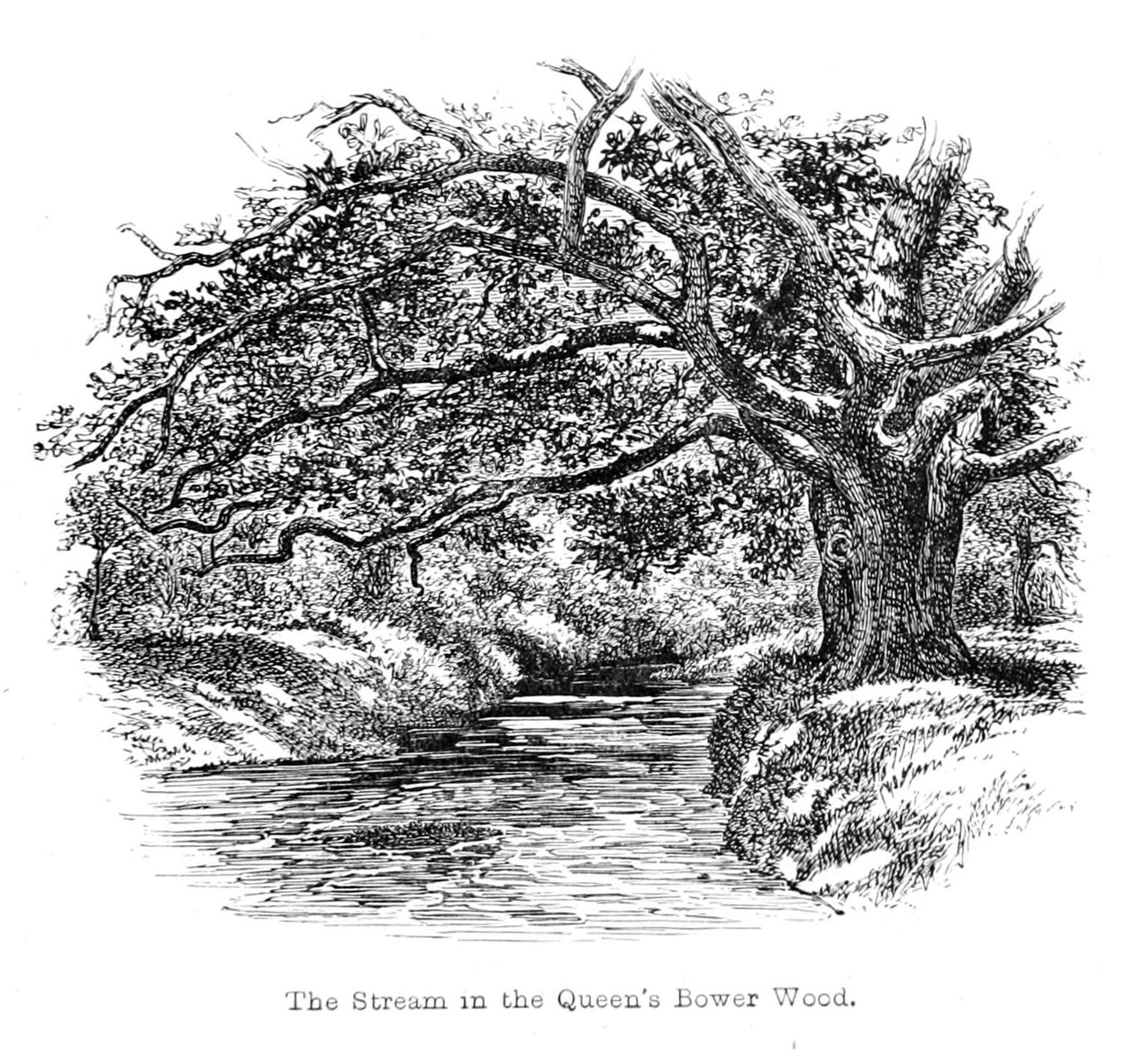 De Stroom in het Queens Bower Bos door Walter Crane