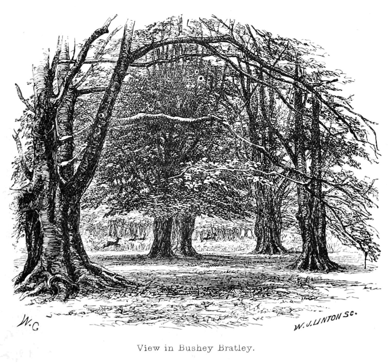 Uitzicht in Bushey Bratley door Walter Crane