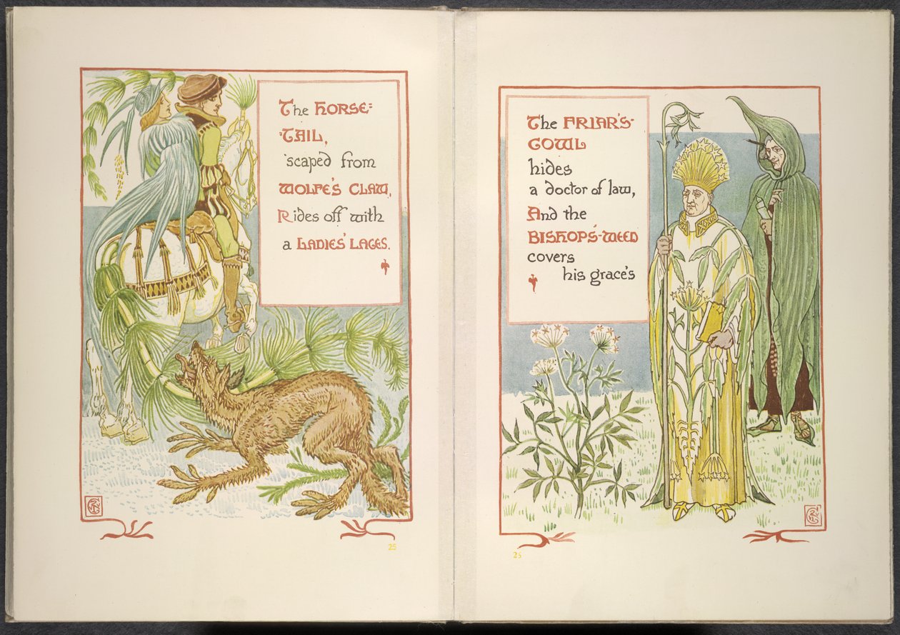 Paardenstaart en monnikskap door Walter Crane