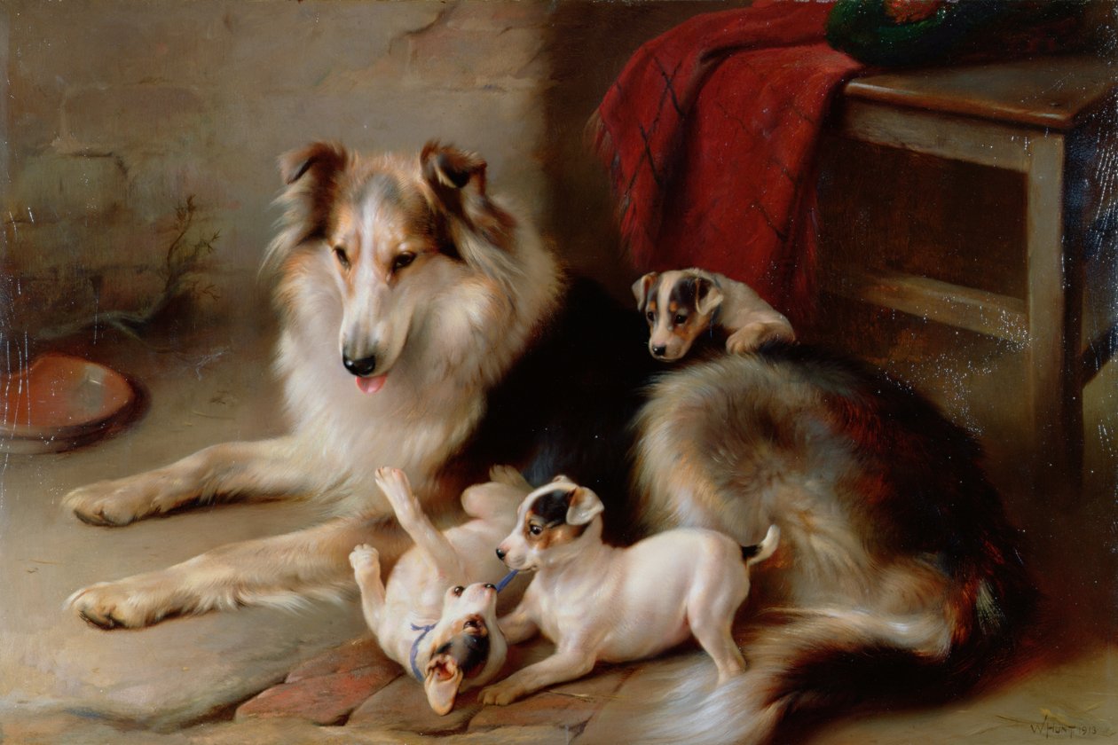 Een Collie met Fox Terrier Puppies, 1913 door Walter Hunt