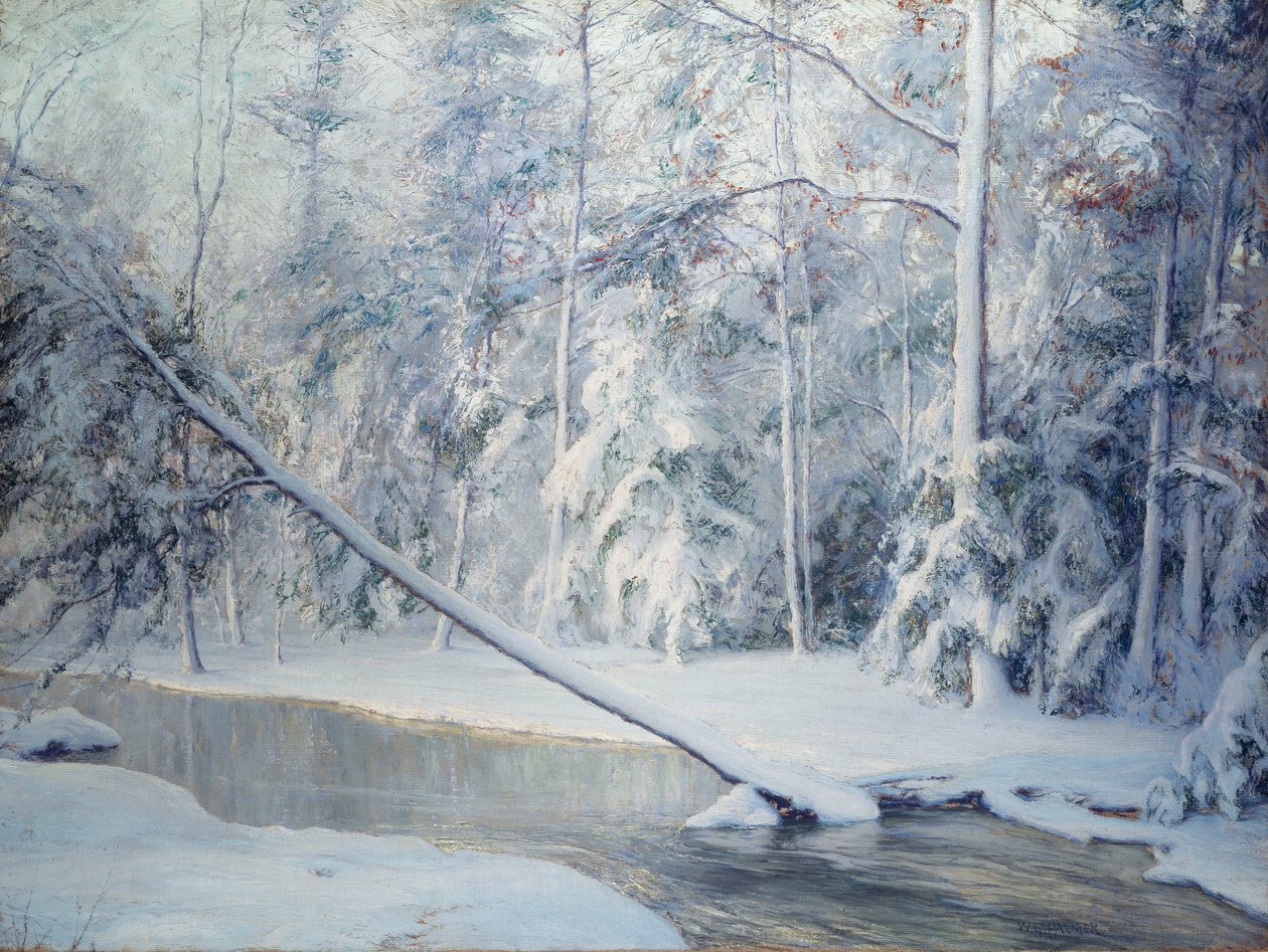 De Scheve Boom door Walter Launt Palmer