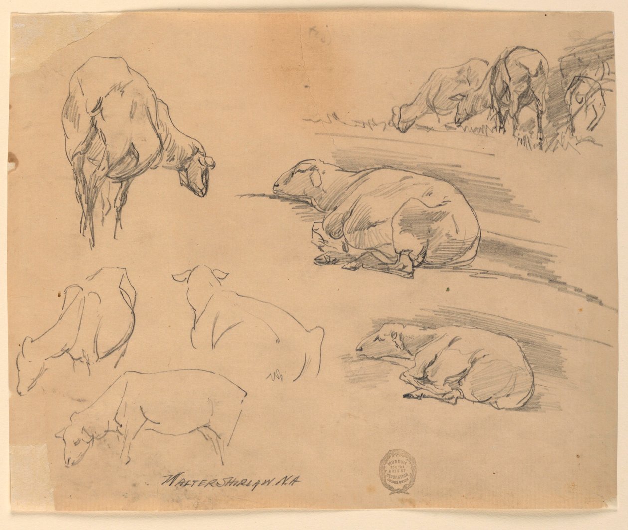 Schetsen van Schapen door Walter Shirlaw