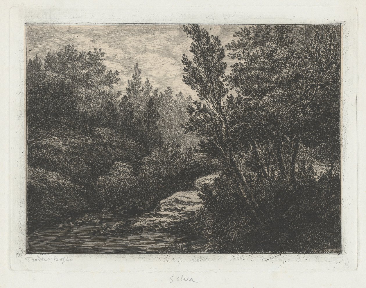 Selva (Woods) door Walter Teodoro Bosio